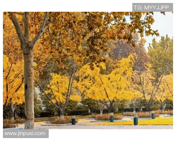 寒意渐浓时光的仪式感让我们用温暖的方式迎接冬季的到来